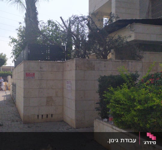 גינה וחצר היקפית של בניין מגורים משותף עם עץ דקל וצמחייה